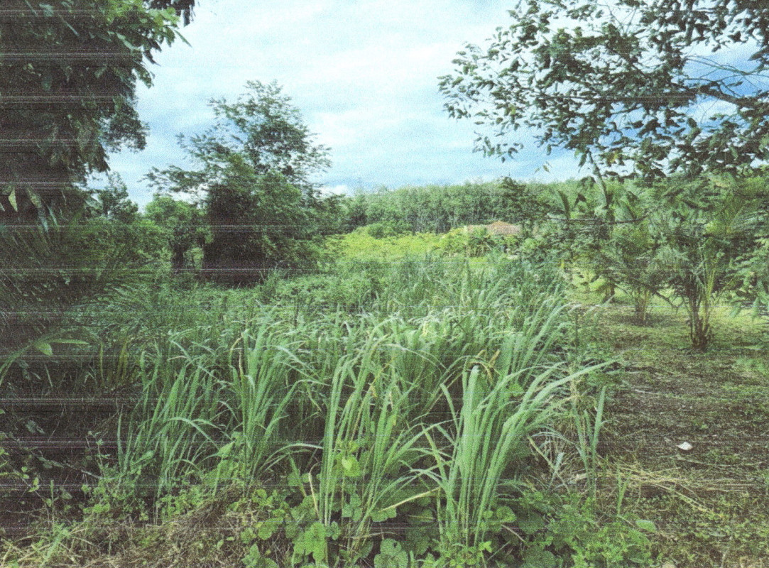 ที่ดินเปล่า ชุมพร เมืองชุมพร หาดพันไกร 2660300