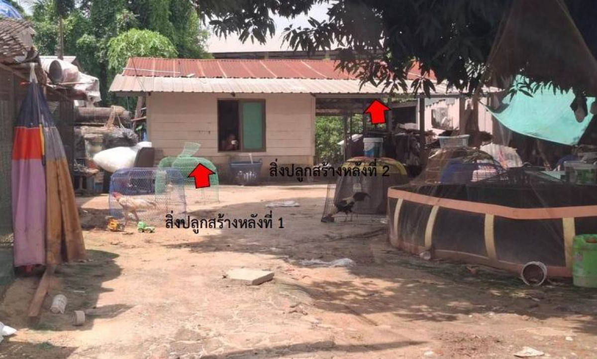 บ้านเดี่ยว พิษณุโลก เมืองพิษณุโลก วัดจันทร์ 540356