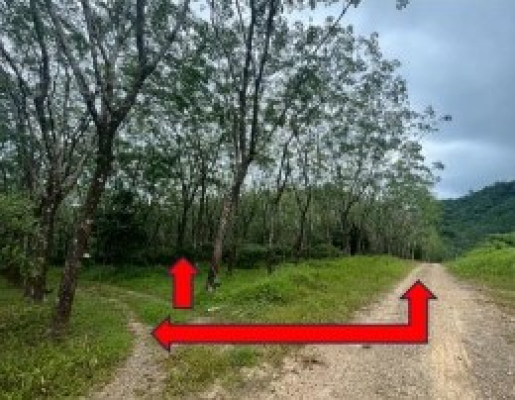 ที่ดินเปล่า ระนอง สุขสำราญ นาคา 911250