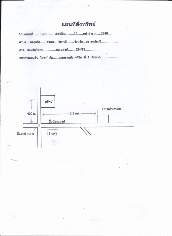 บ้านเดี่ยว สุราษฎร์ธานี วิภาวดี ตะกุกใต้ 703900