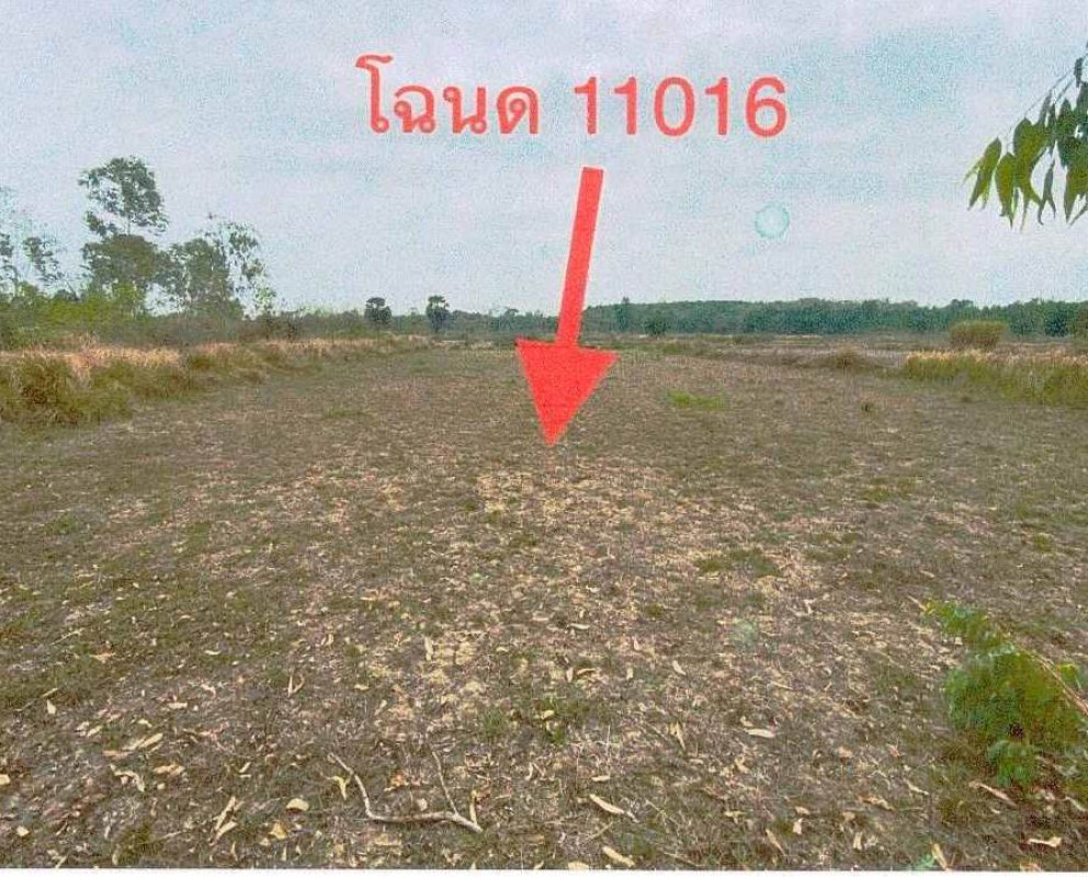 ที่ดินเปล่า หนองคาย รัตนวาปี พระบาทนาสิงห์ 182800