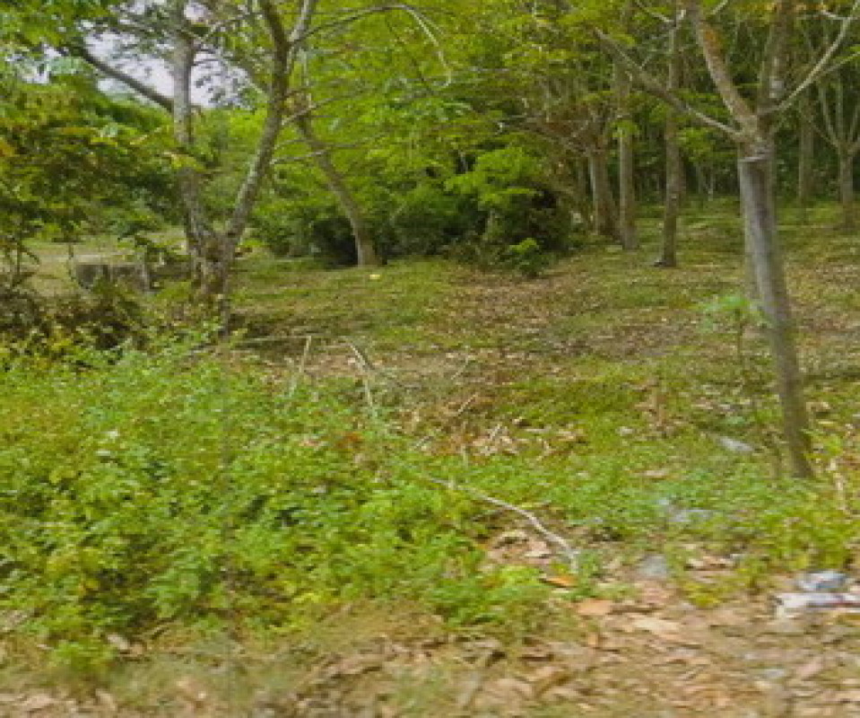 ที่ดินเปล่า สงขลา รัตภูมิ คูหาใต้ 68352