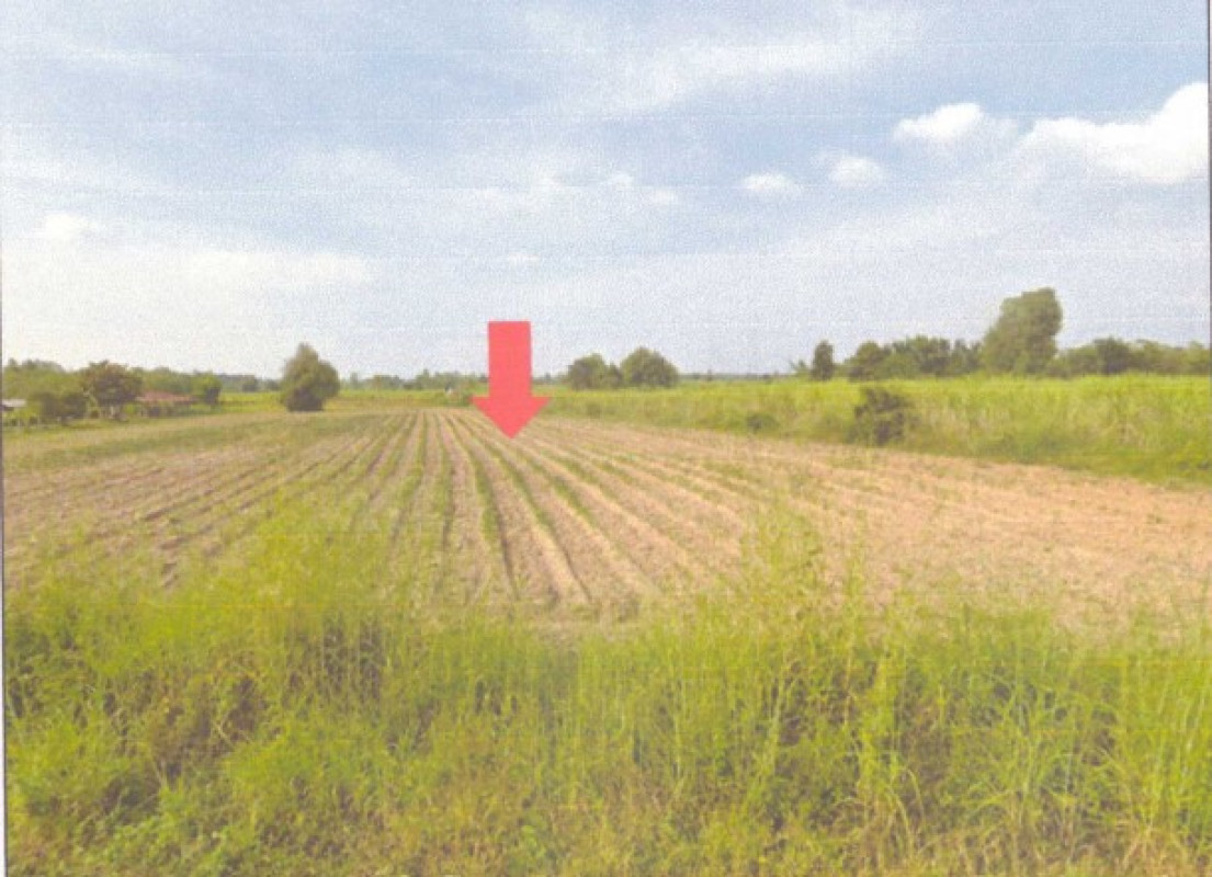 ที่ดินเปล่า อุดรธานี กุมภวาปี ท่าลี่ 653000