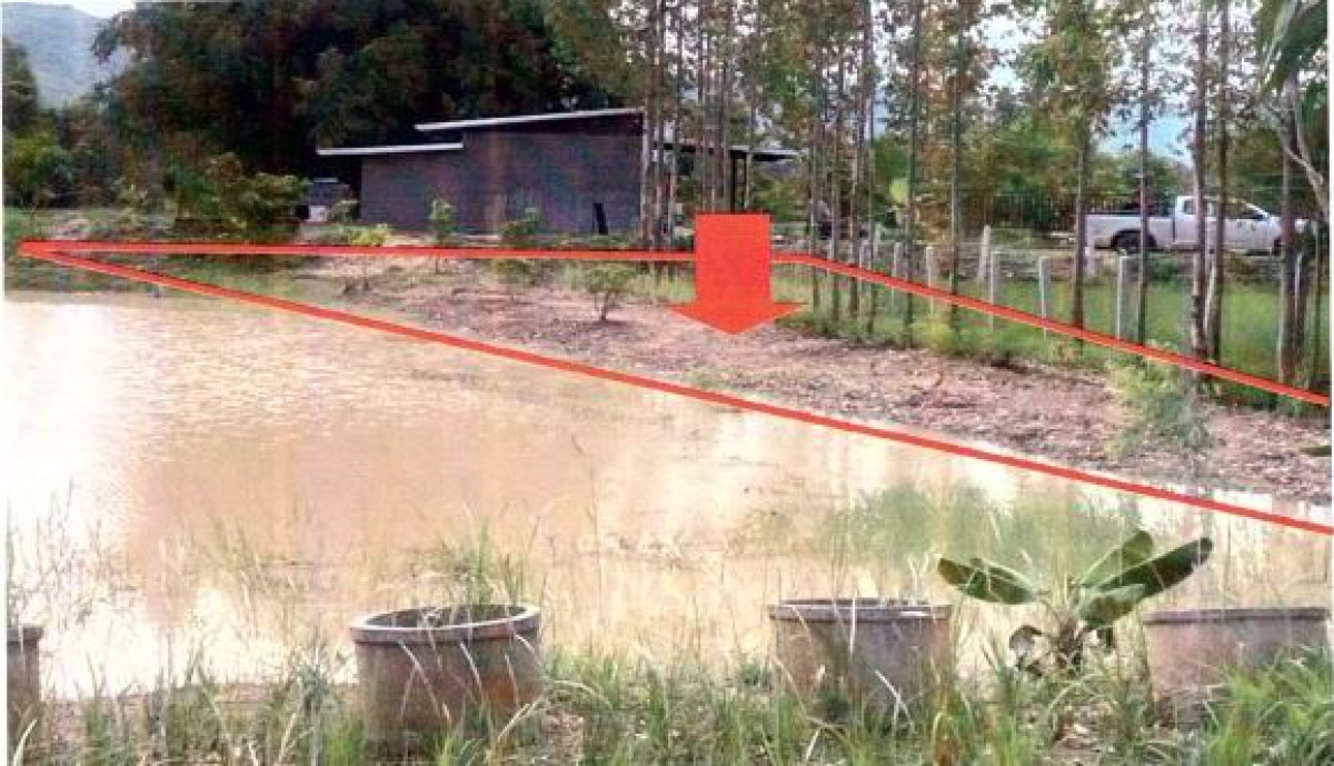 ที่ดินเปล่า กาฬสินธุ์ นาคู บ่อแก้ว 30000