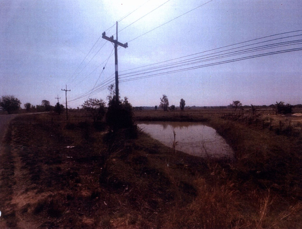 ที่ดินเปล่า สุรินทร์ รัตนบุรี รัตนบุรี 539000