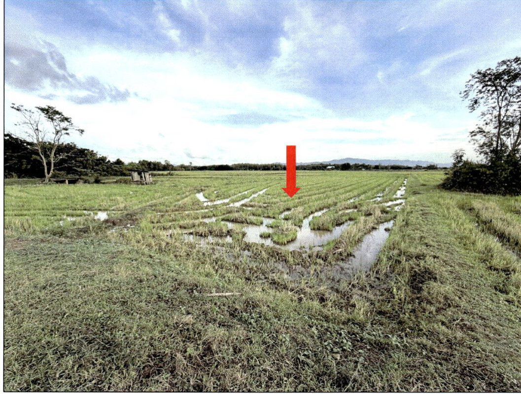 ที่ดินเปล่า แพร่ สูงเม่น บ้านปง 284970