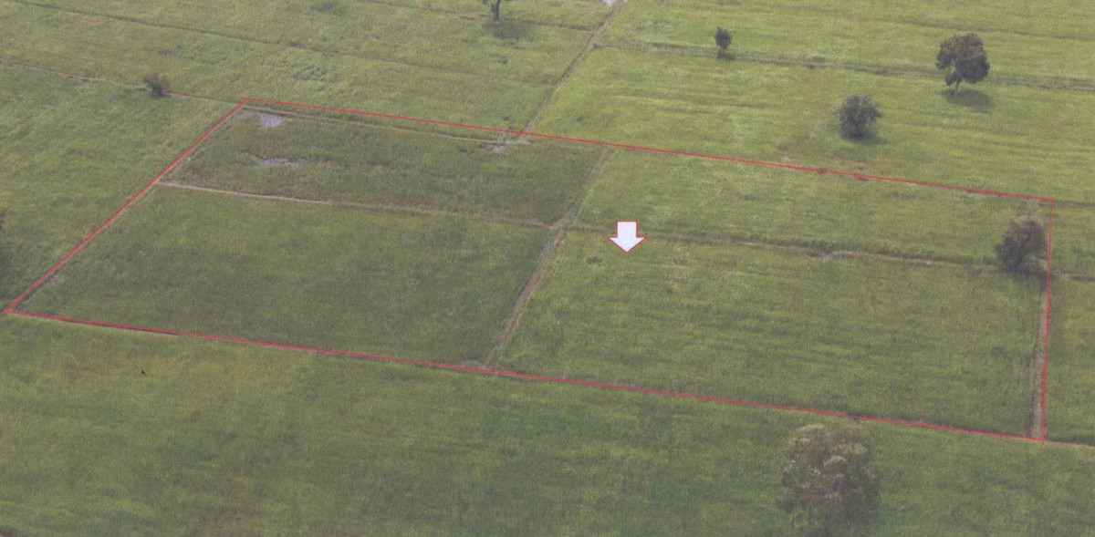 ที่ดินเปล่า ศรีสะเกษ ขุนหาญ ขุนหาญ 267800