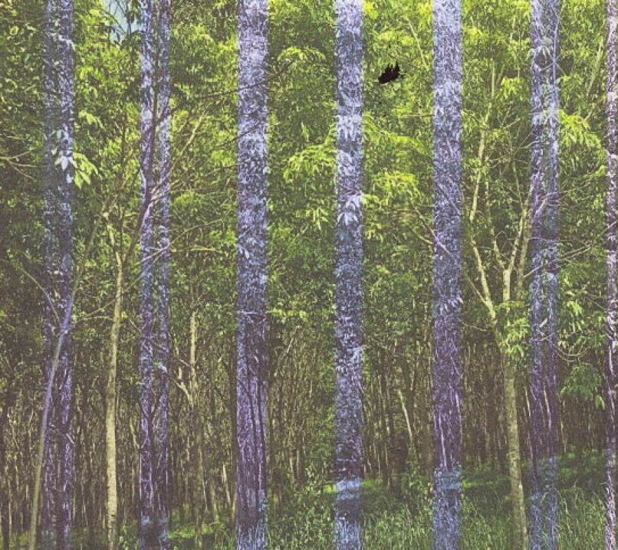 Residential land/lot Krabi Khlong Thom Khlong Thom Tai 957500