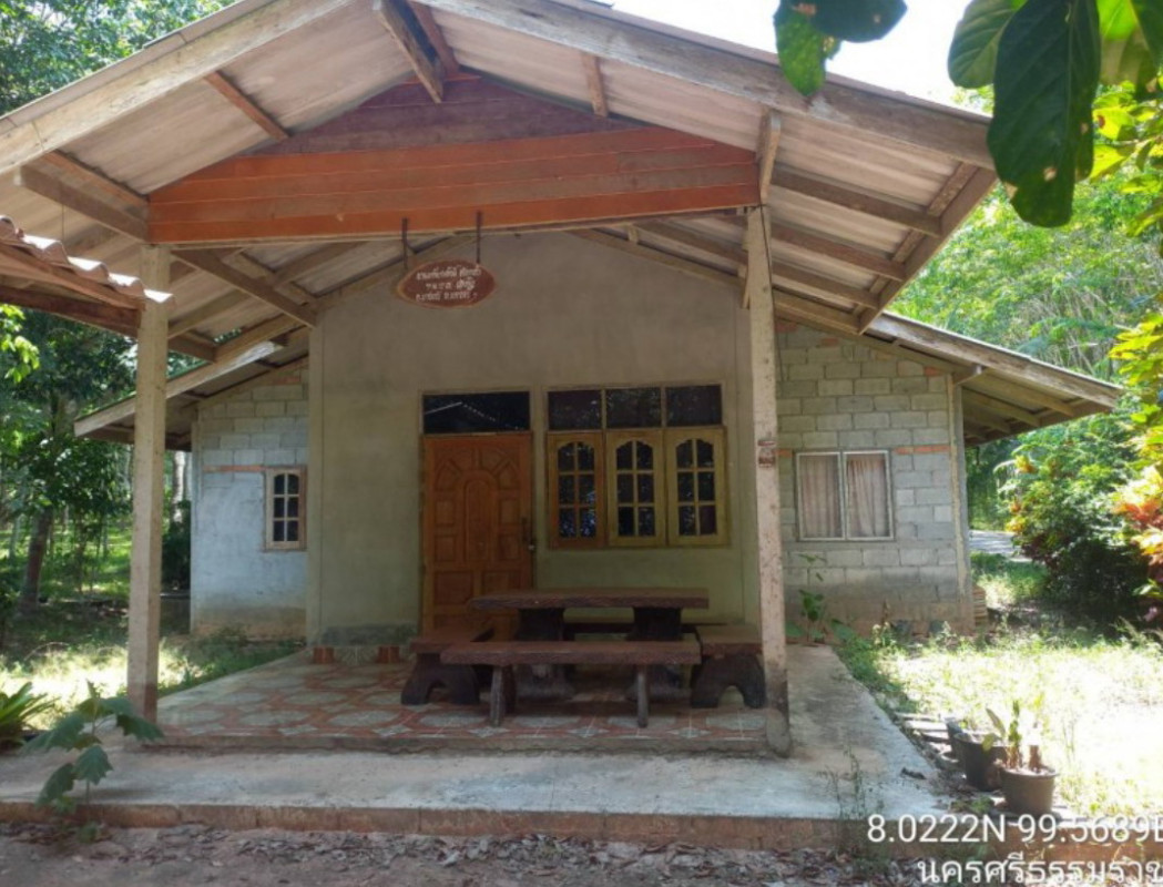 บ้านเดี่ยว นครศรีธรรมราช บางขัน วังหิน 564970