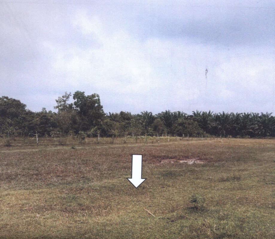 ที่ดินเปล่า พัทลุง ป่าบอน ป่าบอน 75000