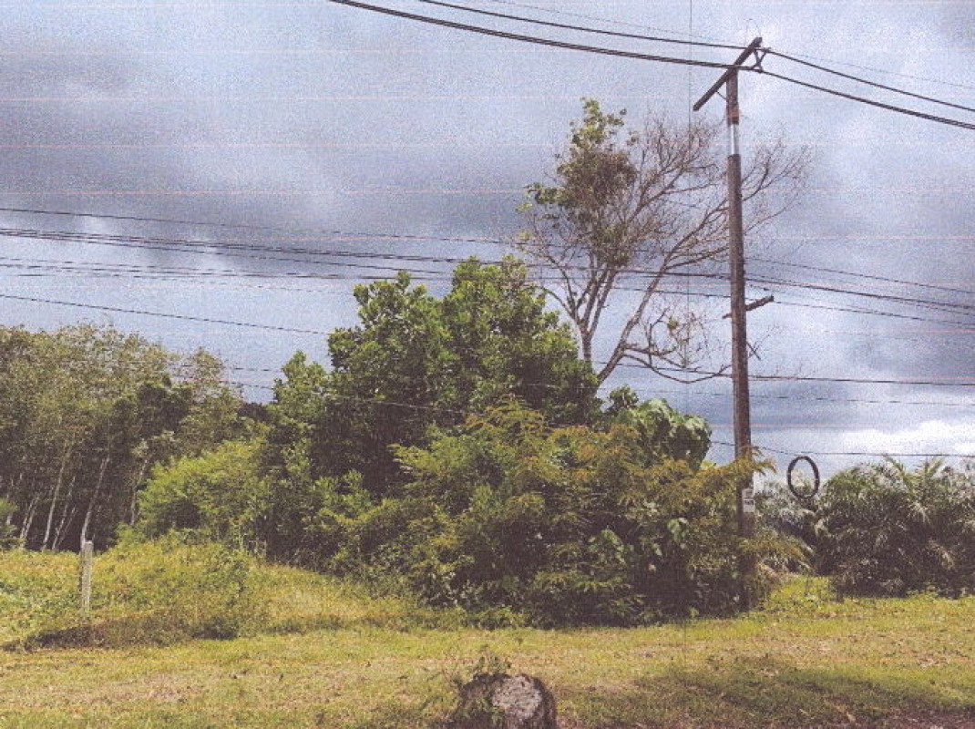 ที่ดินเปล่า กระบี่ ปลายพระยา ปลายพระยา 460600