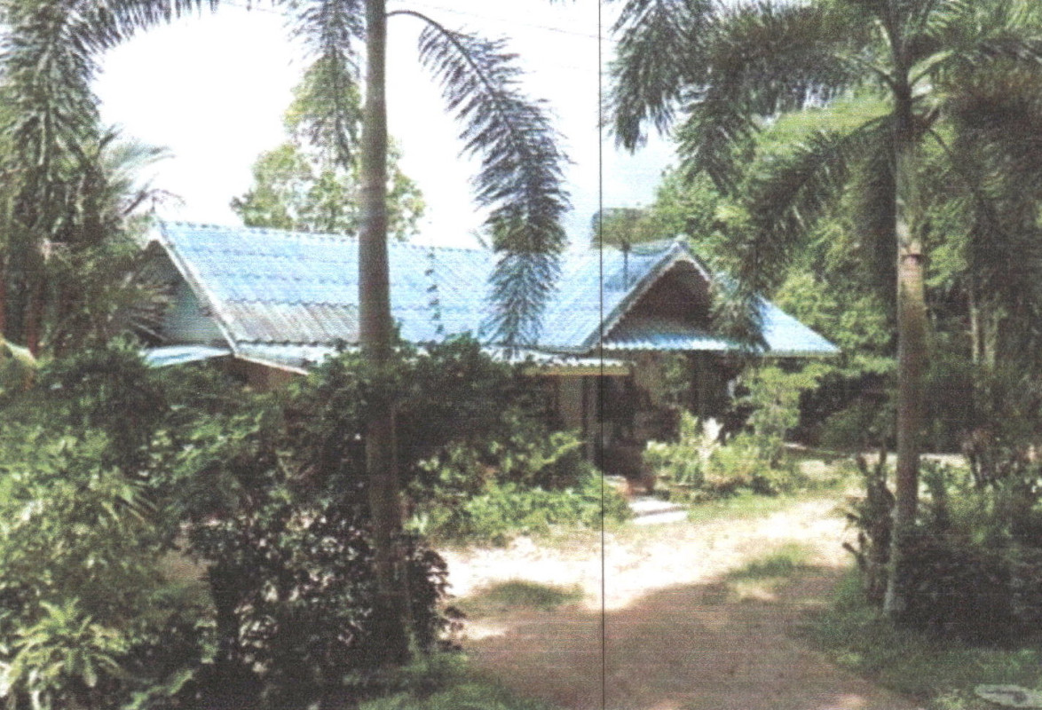 Single house Phatthalung Pa Bon Nong Thong 1799970