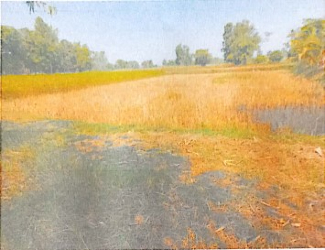 ที่ดินเปล่า อุดรธานี สร้างคอม สร้างคอม 320000