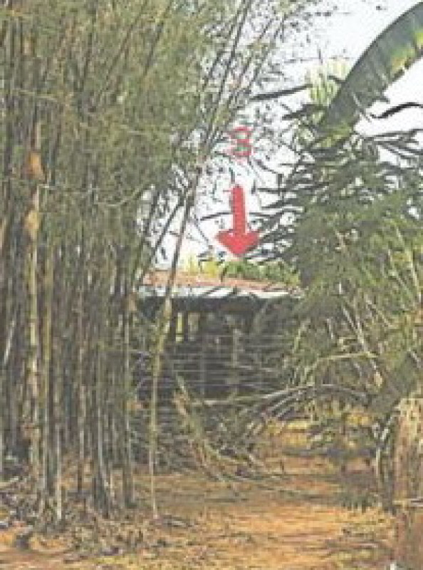 บ้านเดี่ยว ขอนแก่น เมืองขอนแก่น ท่าพระ 1394665