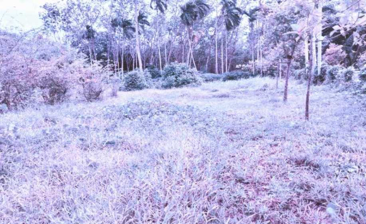 ที่ดินเปล่า นครศรีธรรมราช จุฬาภรณ์ สามตำบล 53900