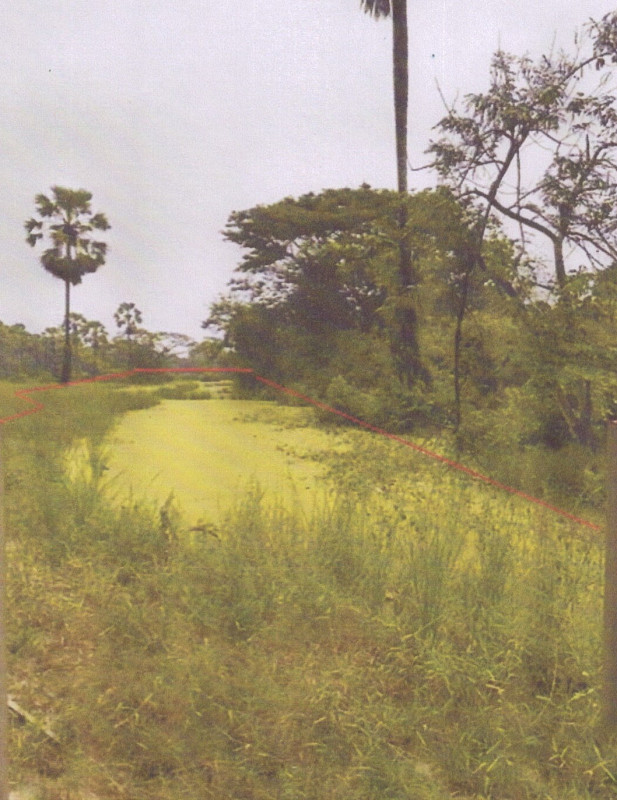 ที่ดินเปล่า สงขลา ระโนด วัดสน 554400