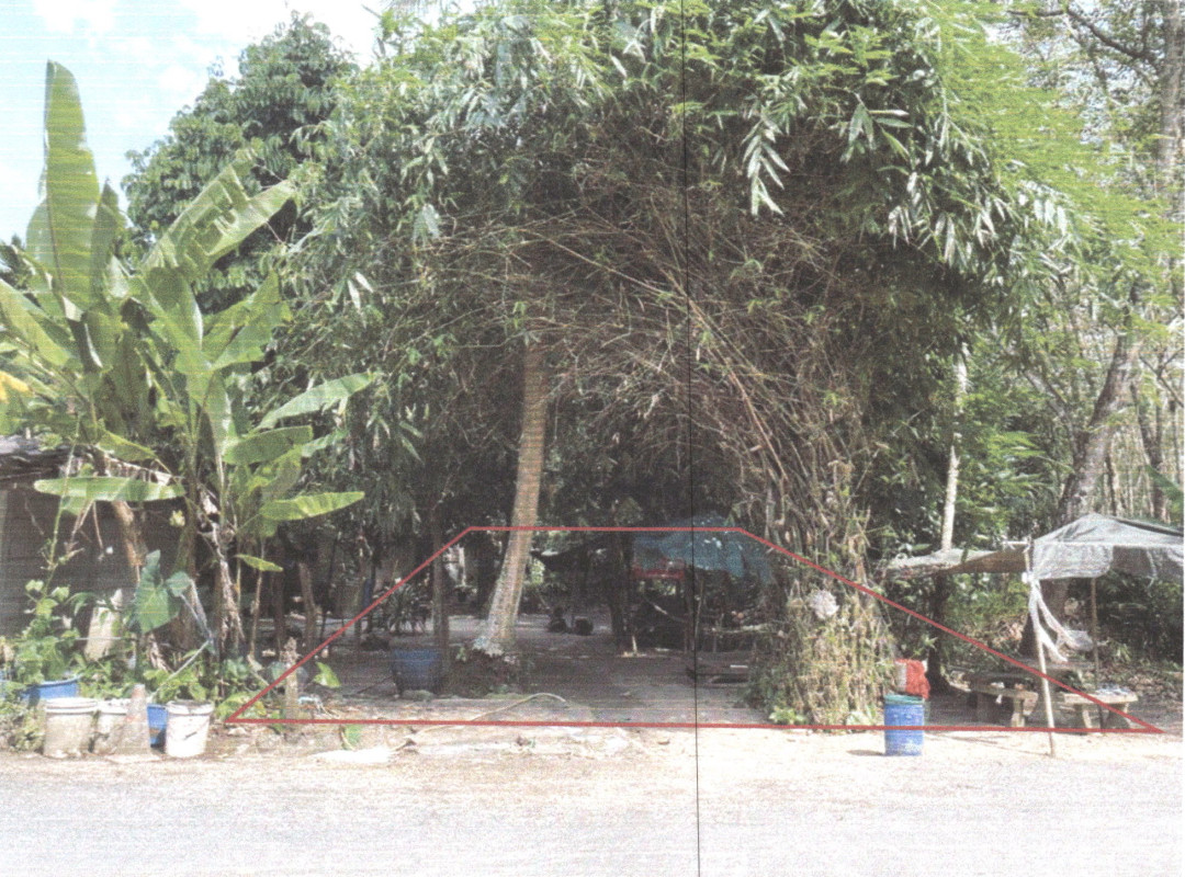 ที่ดินเปล่า พัทลุง เมืองพัทลุง ร่มเมือง 68880