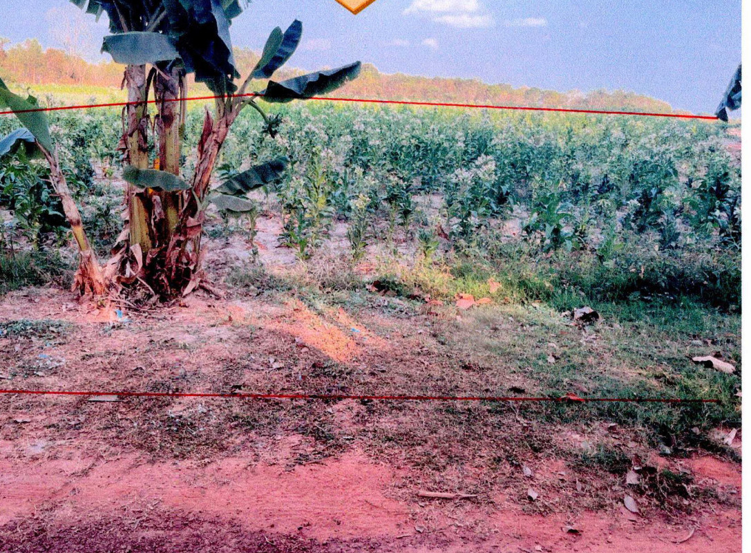 ที่ดินเปล่า หนองคาย สระใคร บ้านฝาง 147400