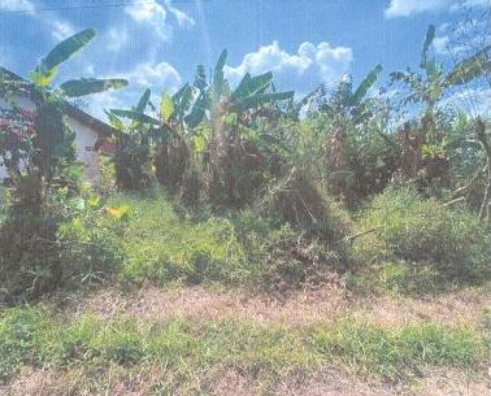 ที่ดินเปล่า นครศรีธรรมราช ชะอวด ชะอวด 90900