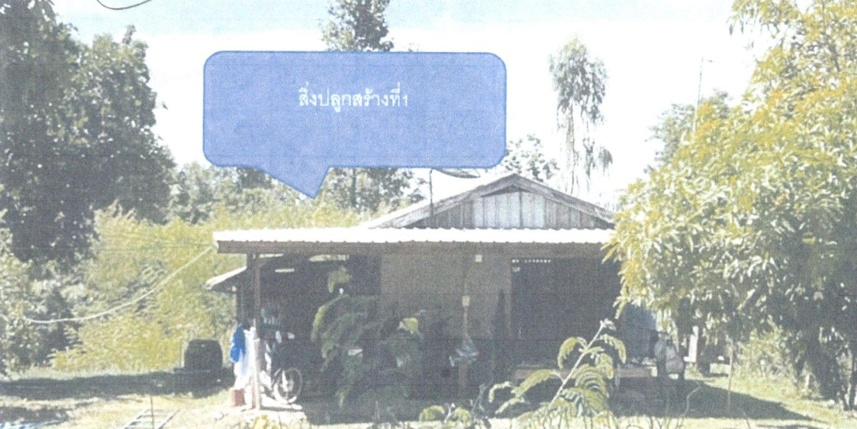 บ้านเดี่ยว พิษณุโลก พรหมพิราม ดงประคำ 423598