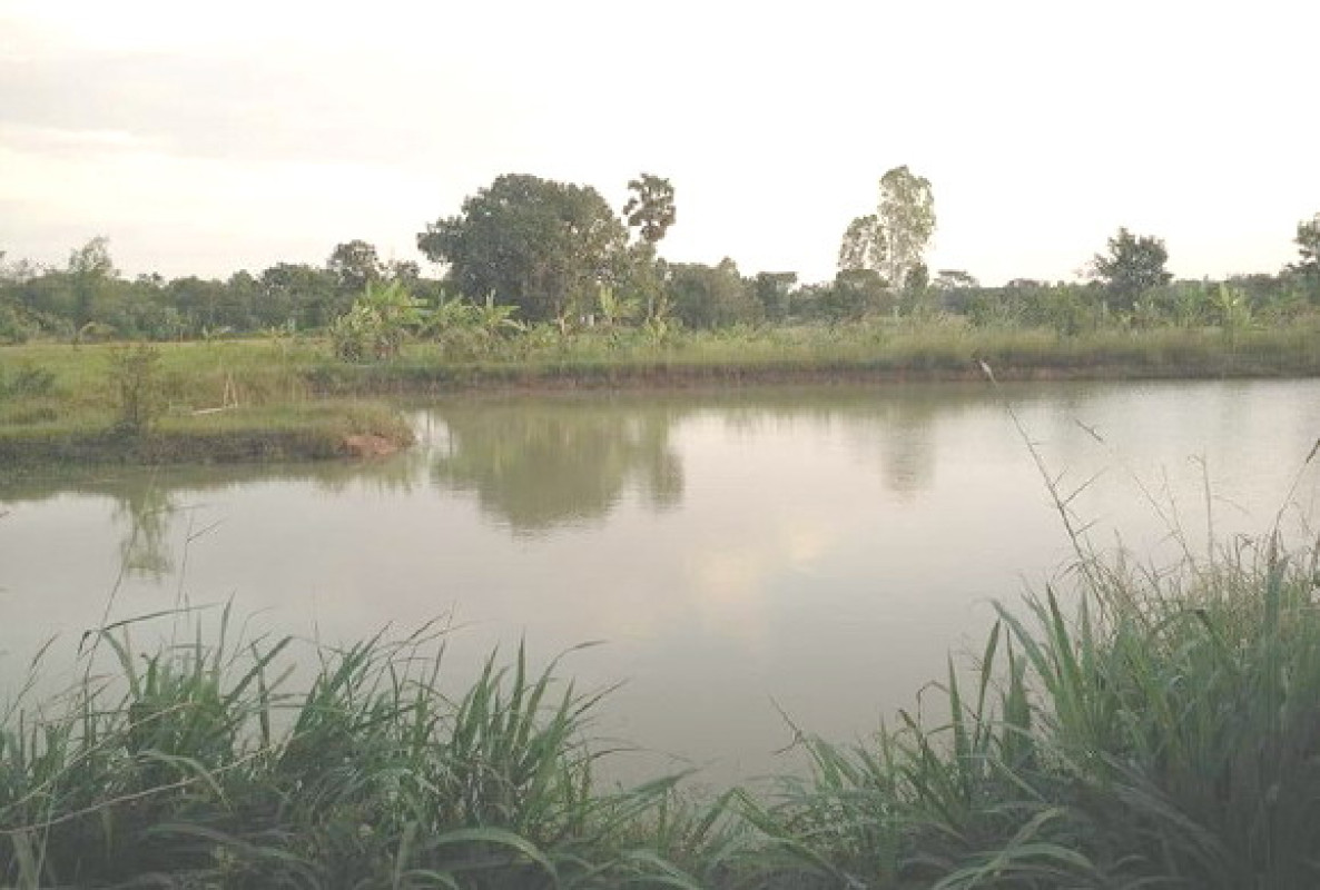 Residential land/lot Prachin Buri Kabin Buri Kabin 182624