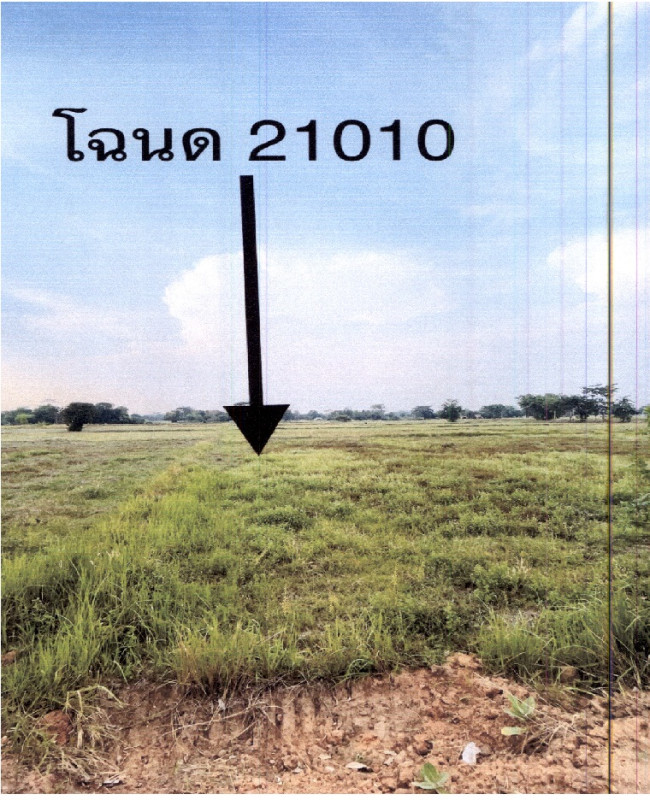 Residential land/lot Nakhon Ratchasima Huai Thalaeng Lung Takhian 1253720