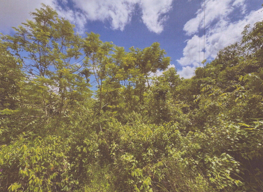 Residential land/lot Songkhla Khlong Hoi Khong Khok Muang 522000