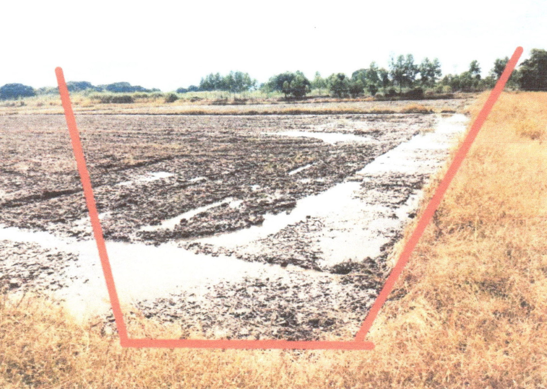 Residential land/lot Phitsanulok Wang Thong Wang Phikun 464640