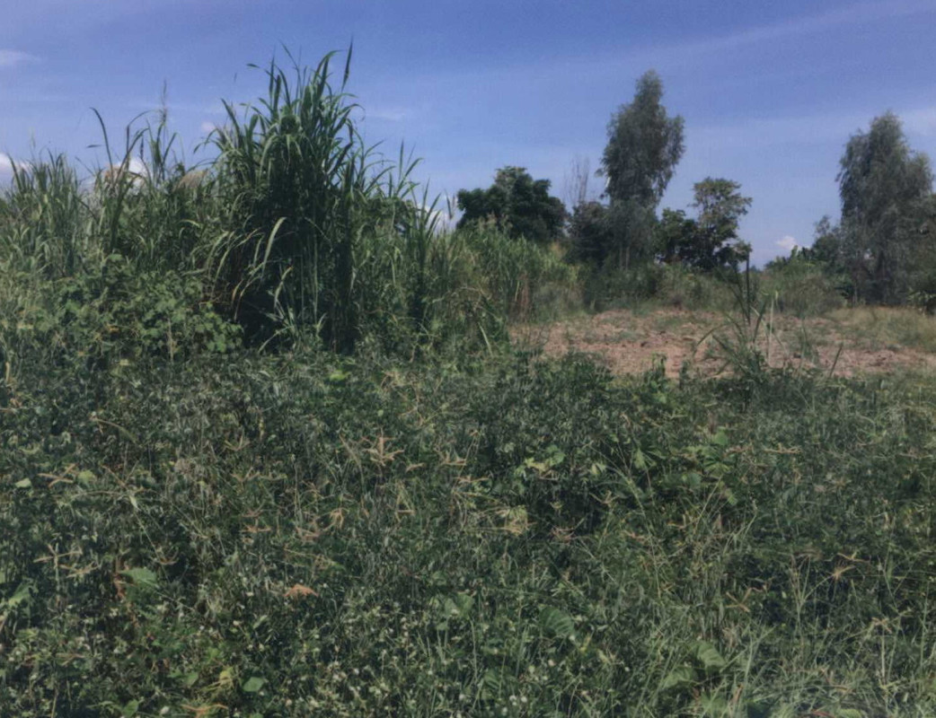 Residential land/lot Nakhon Sawan Banphot Phisai Dan Chang 720000