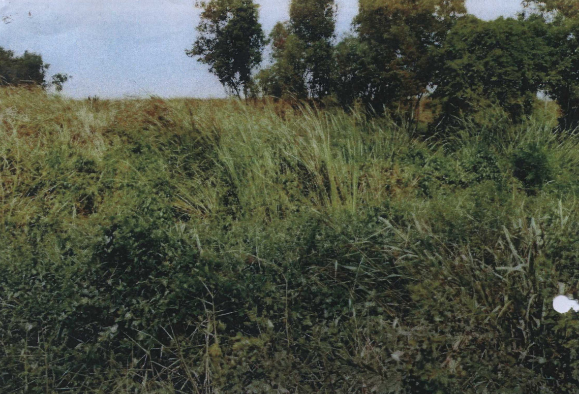 Residential land/lot Pathum Thani Nong Suea Sala Khru 2880000