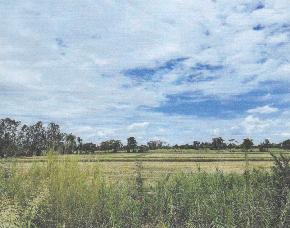 Residential land/lot Nakhon Sawan Banphot Phisai Ang Thong 496000