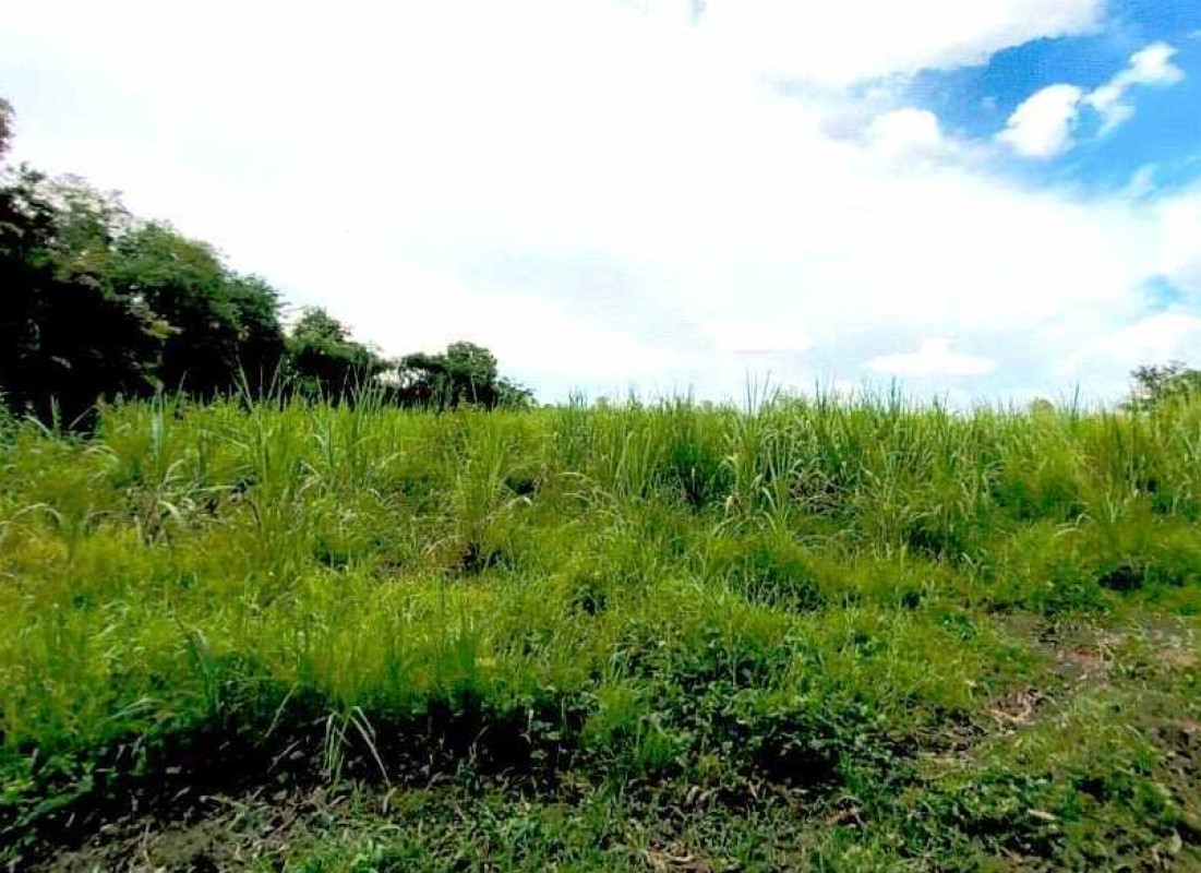 Residential land/lot Udon Thani Ban Phue Hai Sok 318000