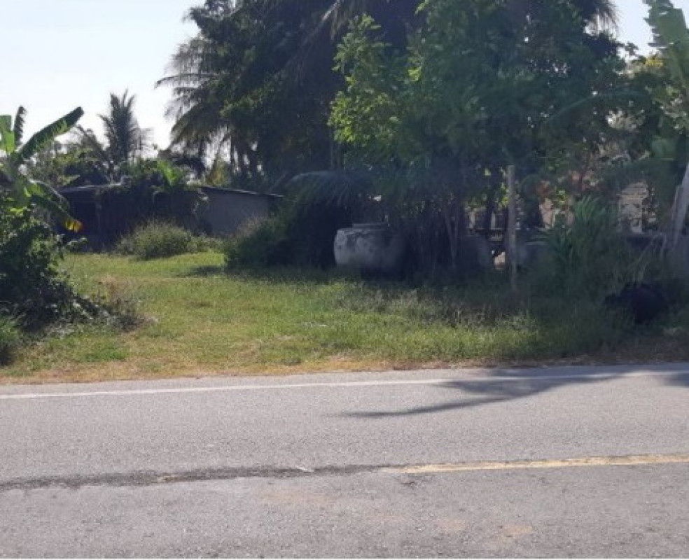 Single house Khon Kaen Chonnabot Huai Kae 396695
