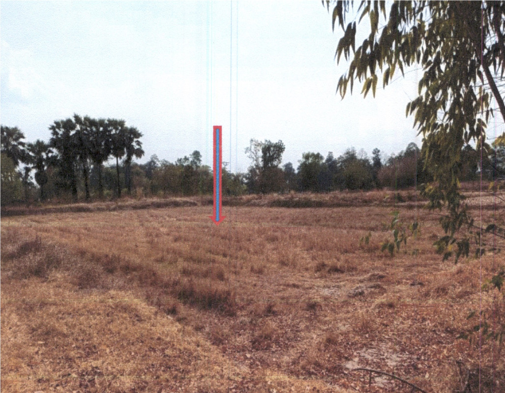 ที่ดินเปล่า นครราชสีมา ลำทะเมนชัย ไพล 97560