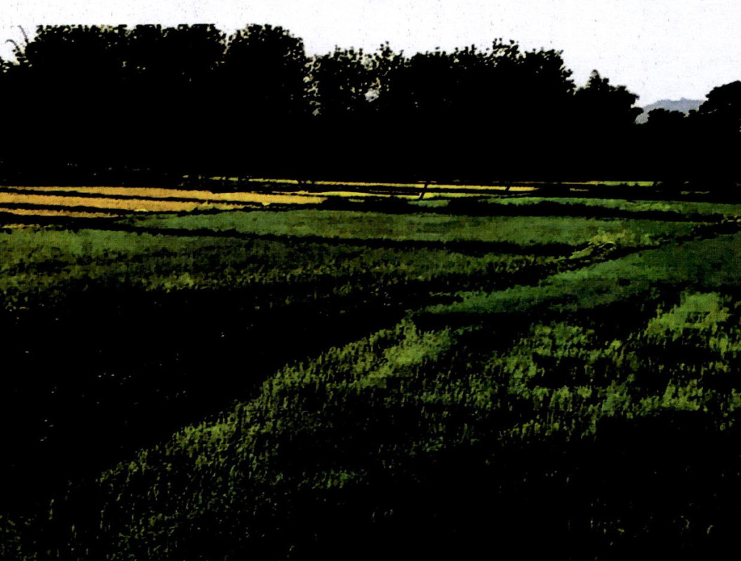 Residential land/lot Lampang Mae Tha Hua Suea 37200