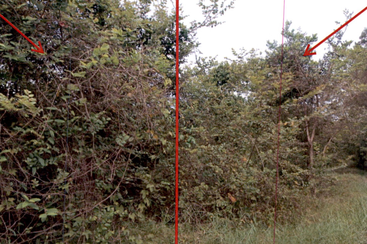 ที่ดินเปล่า สุราษฎร์ธานี พุนพิน หัวเตย 240000