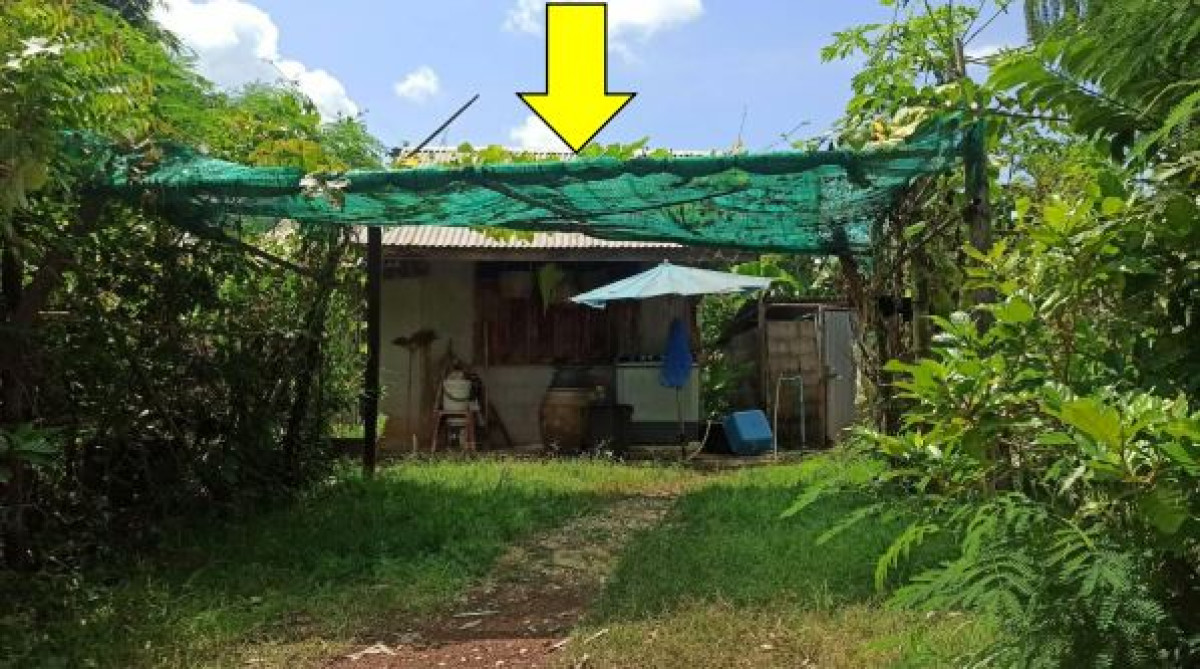 บ้านเดี่ยว อุดรธานี บ้านดุง วังทอง 291250