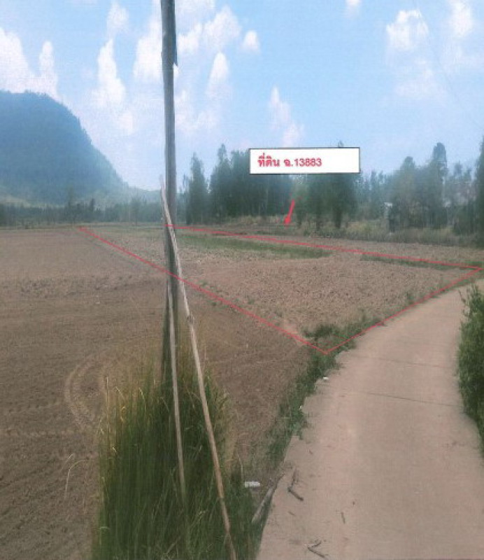 ที่ดินเปล่า พิษณุโลก เนินมะปราง ชมพู 410738