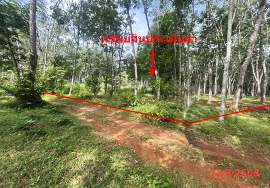 ที่ดินเปล่า ตรัง ปะเหลียน บางด้วน 3101000