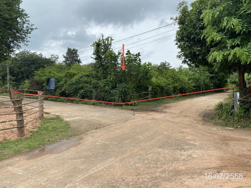 Residential land/lot Kalasin Nong Kung Si Nong Kung Si 621000