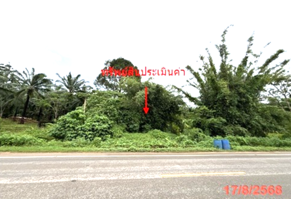 Residential land/lot Krabi Mueang Krabi Thap Prik 8030000