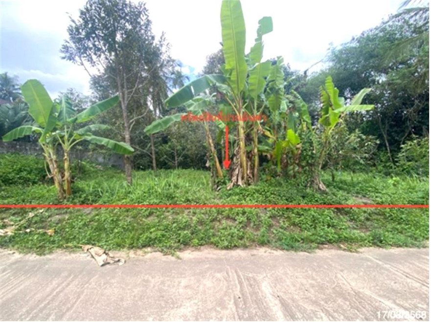 Residential land/lot Songkhla Na Thawi Thap Chang 496000