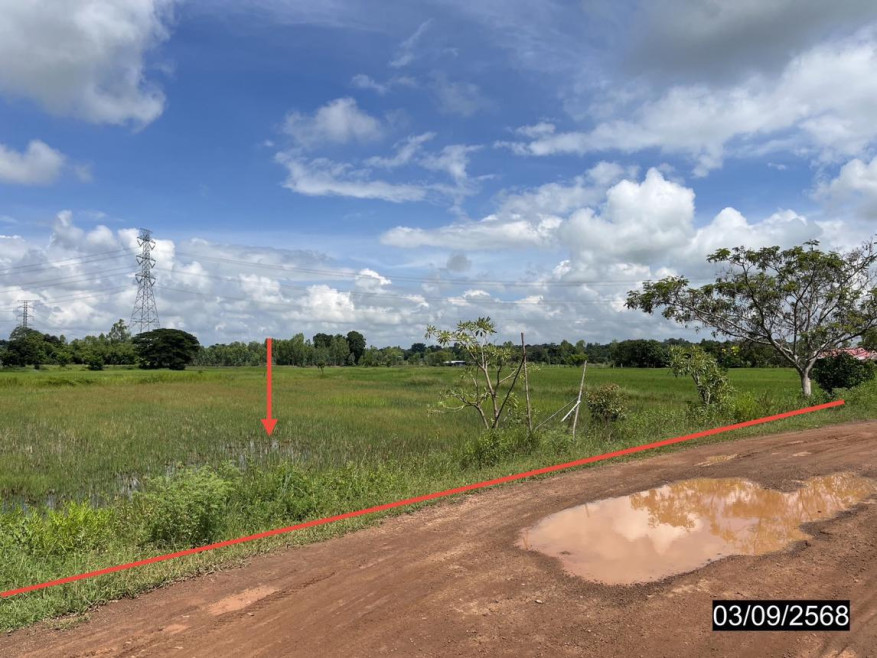ที่ดินเปล่า ร้อยเอ็ด เมืองร้อยเอ็ด สีแก้ว 1186000
