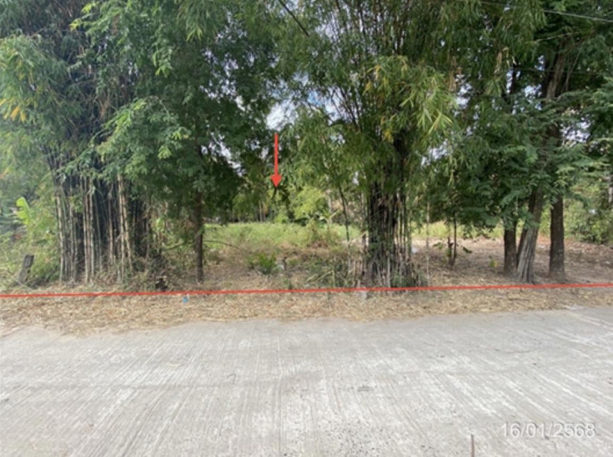 ที่ดินเปล่า มหาสารคาม บรบือ หนองจิก 730000