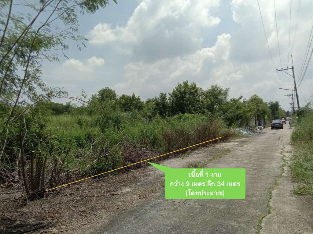 ที่ดินเปล่า ปทุมธานี หนองเสือ บึงกาสาม 350000