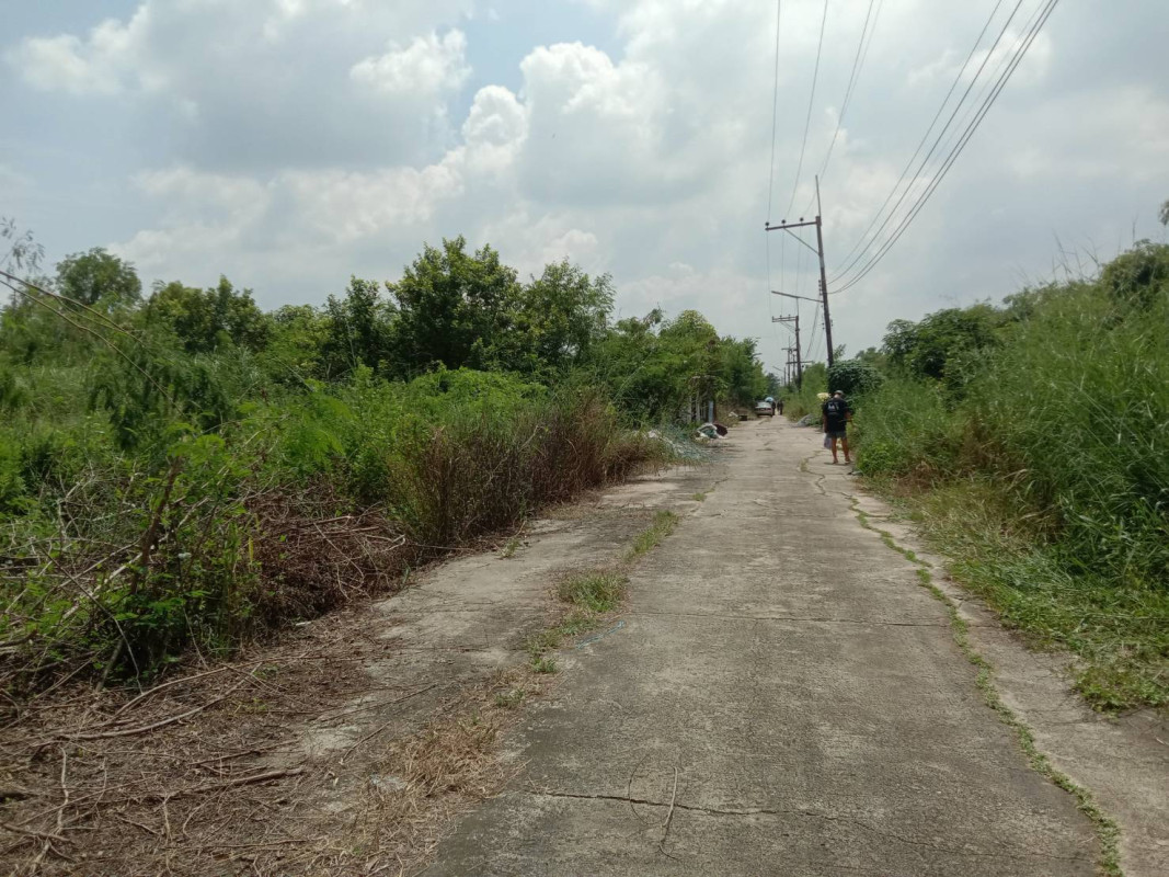 ที่ดินเปล่า ปทุมธานี หนองเสือ บึงกาสาม 350000