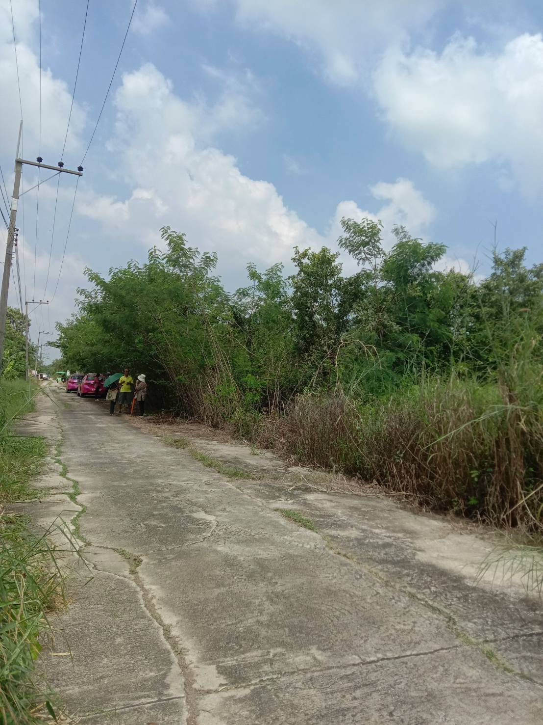 ที่ดินเปล่า ปทุมธานี หนองเสือ บึงกาสาม 350000