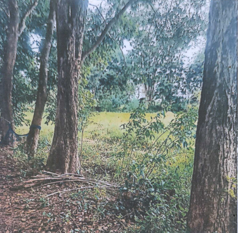 ที่ดินเปล่า ยโสธร มหาชนะชัย โนนทราย 235250