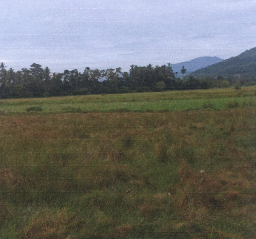 ที่ดินเปล่า ยะลา รามัน บาลอ 144820