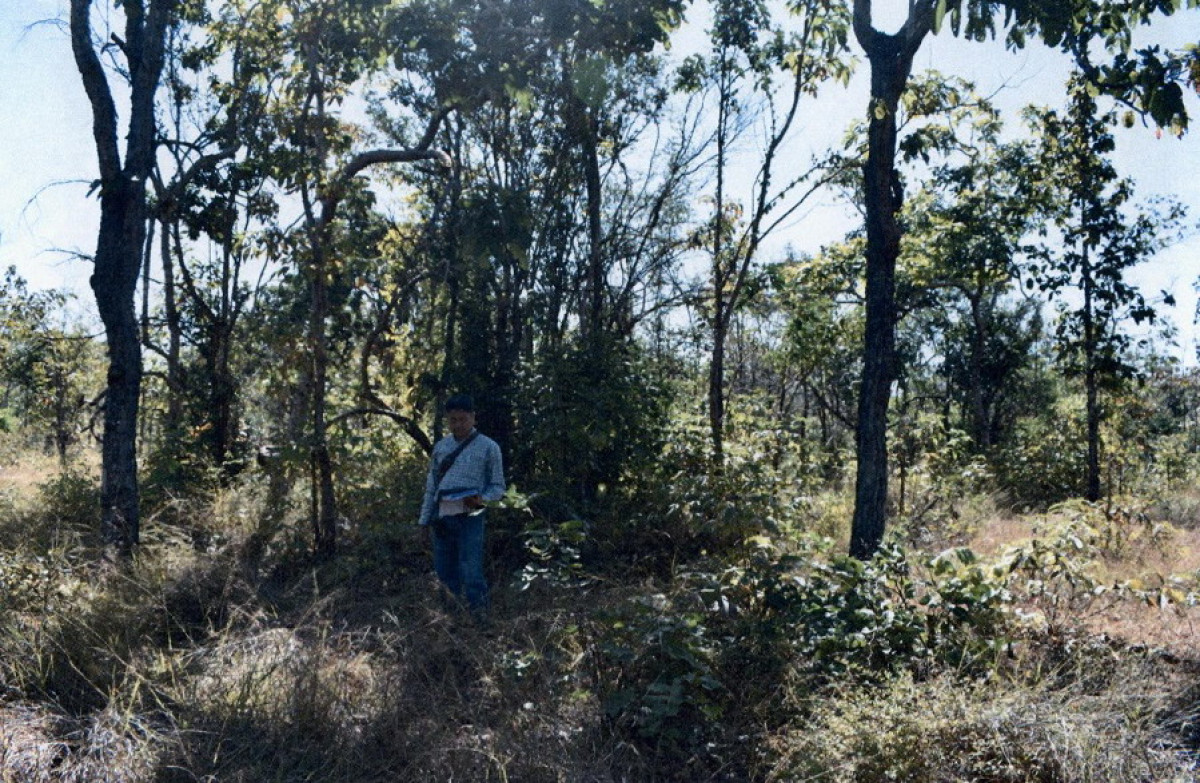 ที่ดินเปล่า เชียงใหม่ ฮอด บ้านตาล 100000